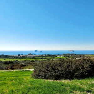 12,710m² Plot for Sale in Pyrgos Lemesou, Limassol District
