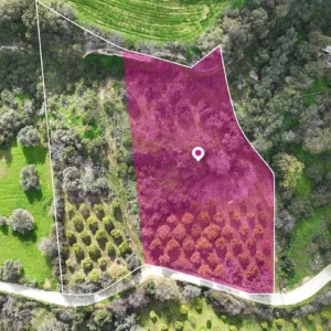 6,300m² Plot for Sale in Skoulli, Paphos District