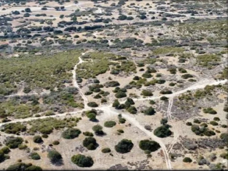 9,031m² Plot for Sale in Avdimou, Limassol District