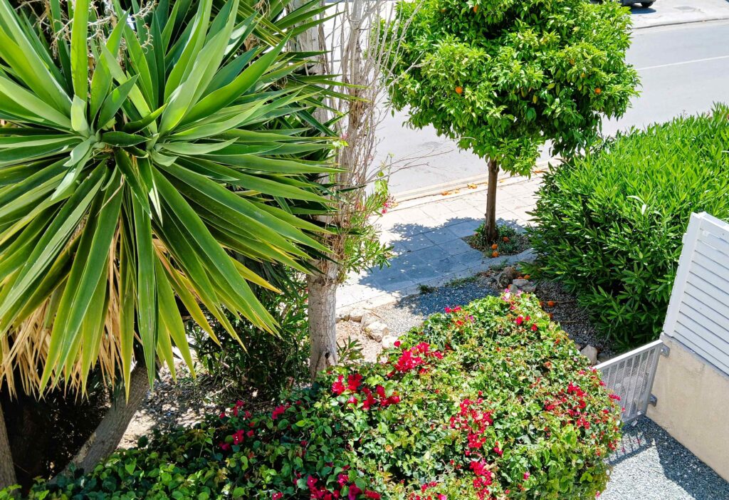 3 Bedroom House for Sale in Paphos – Universal