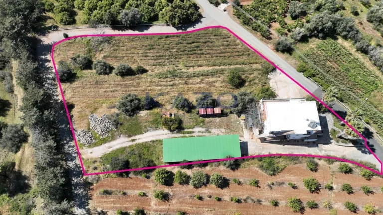 4 Bedroom House for Sale in Nea Dimmata, Paphos District