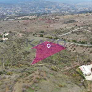 7,693m² Plot for Sale in Drouseia, Paphos District