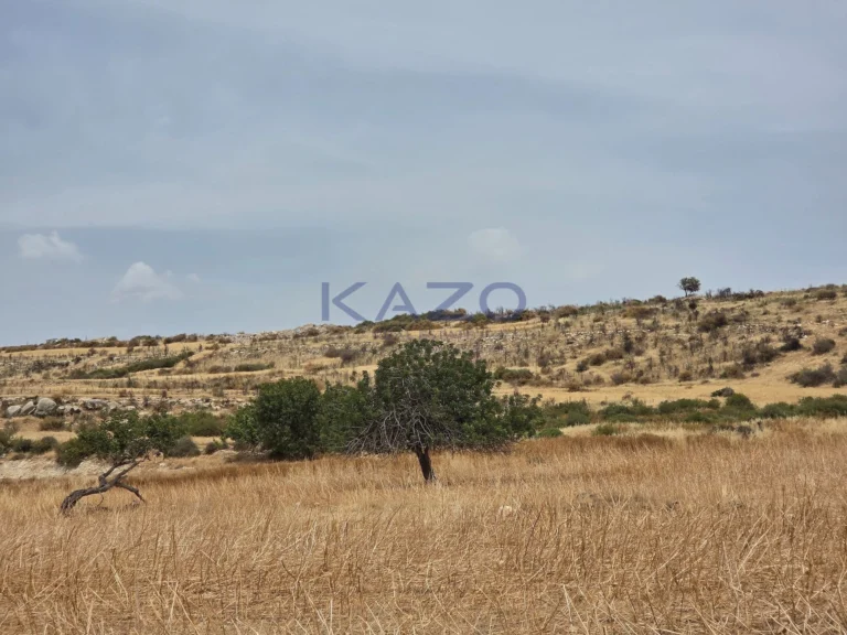 5,128m² Plot for Sale in Limassol District