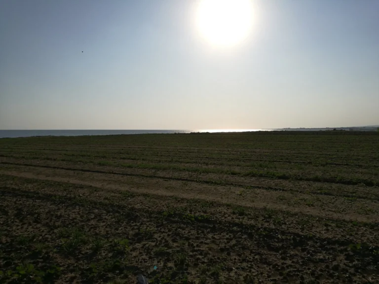 6,689m² Plot for Sale in Kiti, Larnaca District