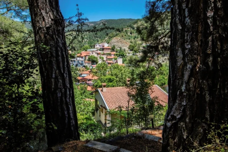3 Bedroom House for Sale in Foini, Limassol District