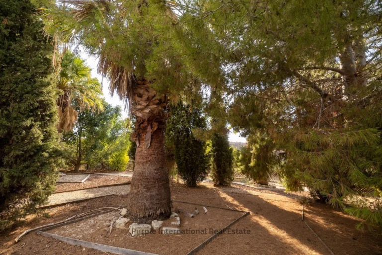 4 Bedroom House for Sale in Steni, Paphos District