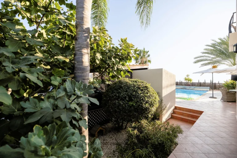 3 Bedroom House for Sale in Tala, Paphos District