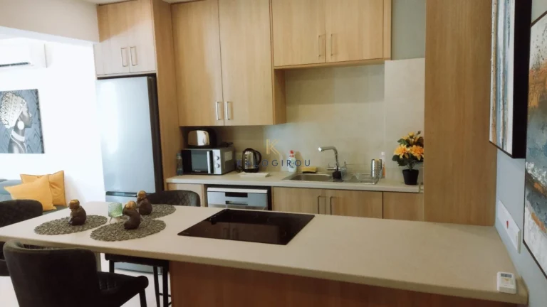 1 Bedroom Apartment for Rent in Larnaca District
