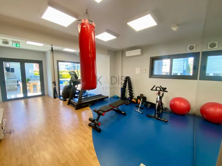 2 Bedroom Apartment for Rent in Limassol District