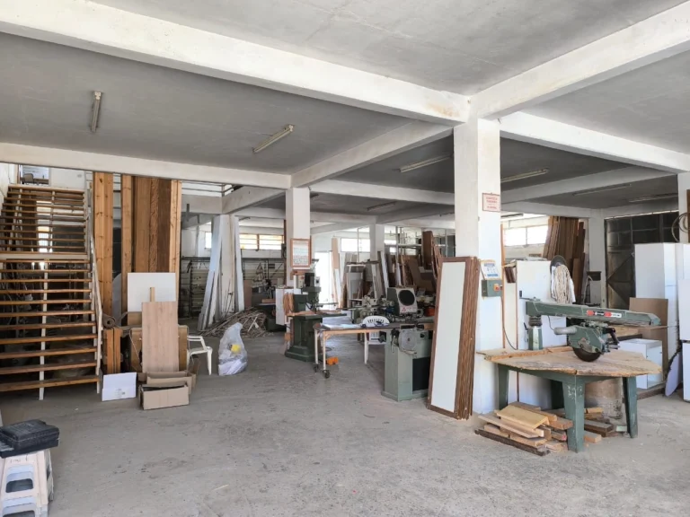 750m² Commercial for Sale in Agios Sylas, Limassol District