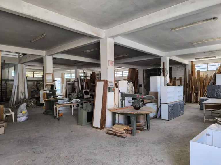 750m² Commercial for Sale in Agios Sylas, Limassol District