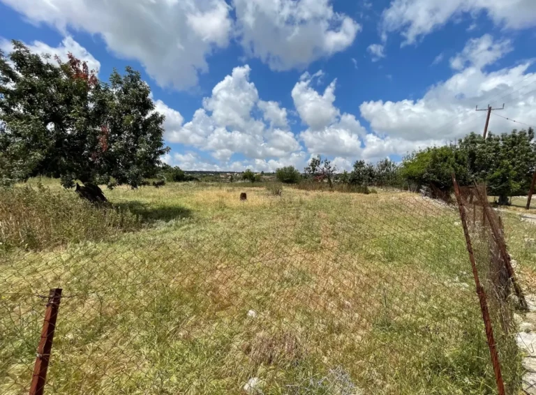 10,703m² Plot for Sale in Anogyra, Limassol District