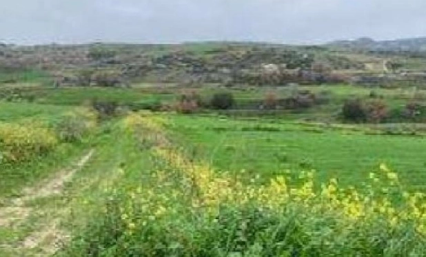 12,041m² Plot for Sale in Paphos District