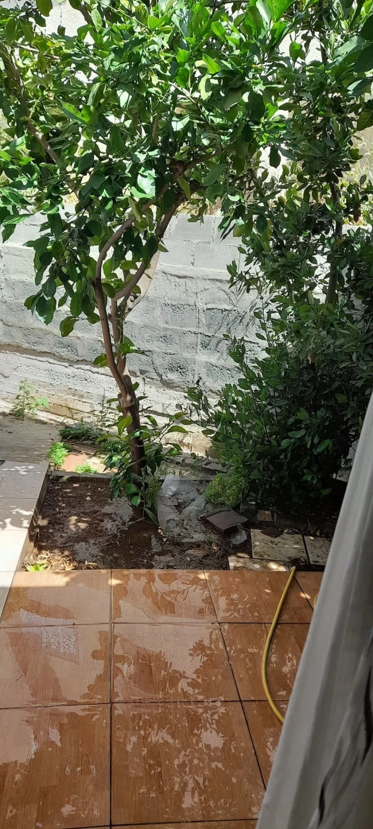 Cheap Houses and Villas for Sale Nicosia