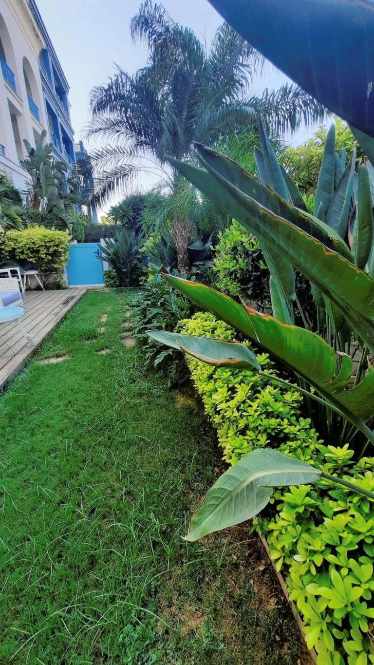 3 Bedroom Apartment for Rent in Limassol