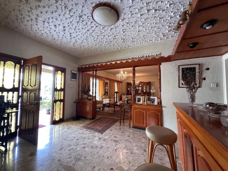 6+ Bedroom House for Sale in Limassol – Kapsalos