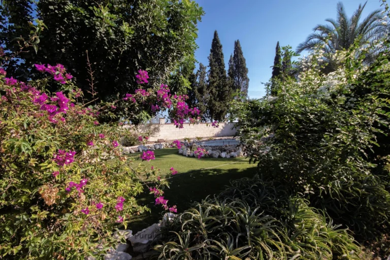 5 Bedroom House for Sale in Pervolia Larnacas