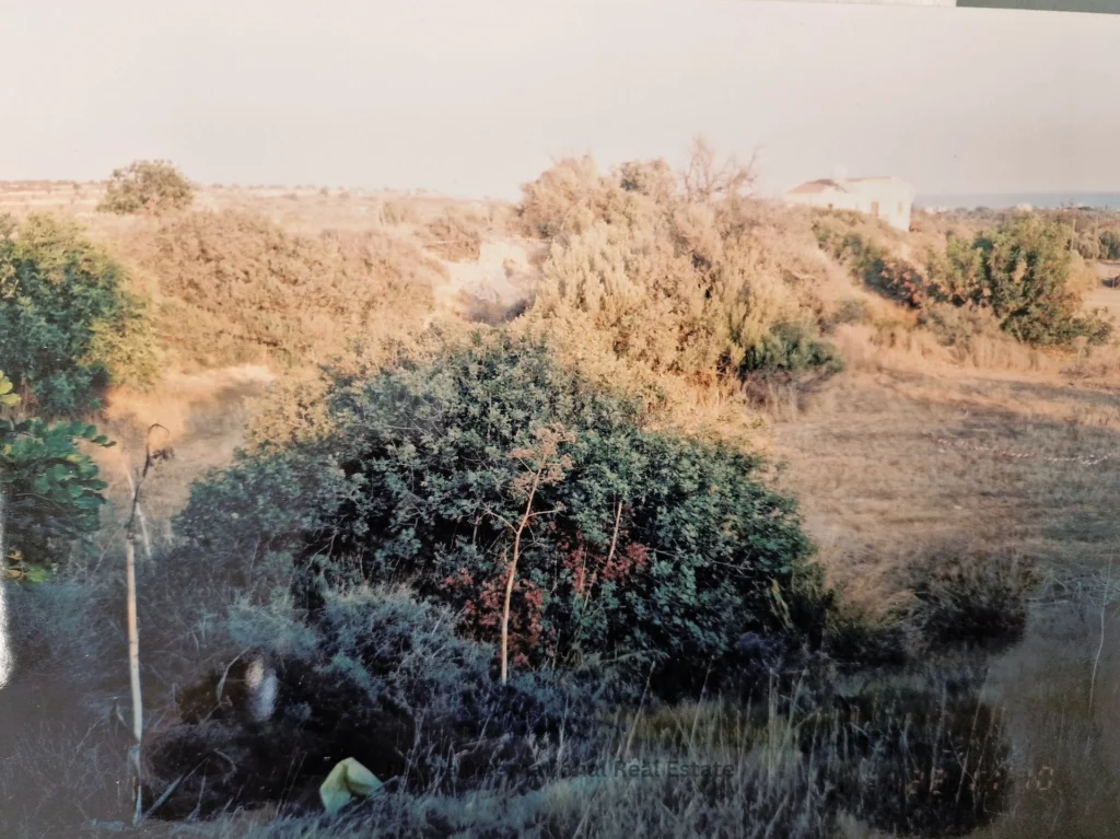 32,108m² Plot for Sale in Agios Theodoros, Larnaca District
