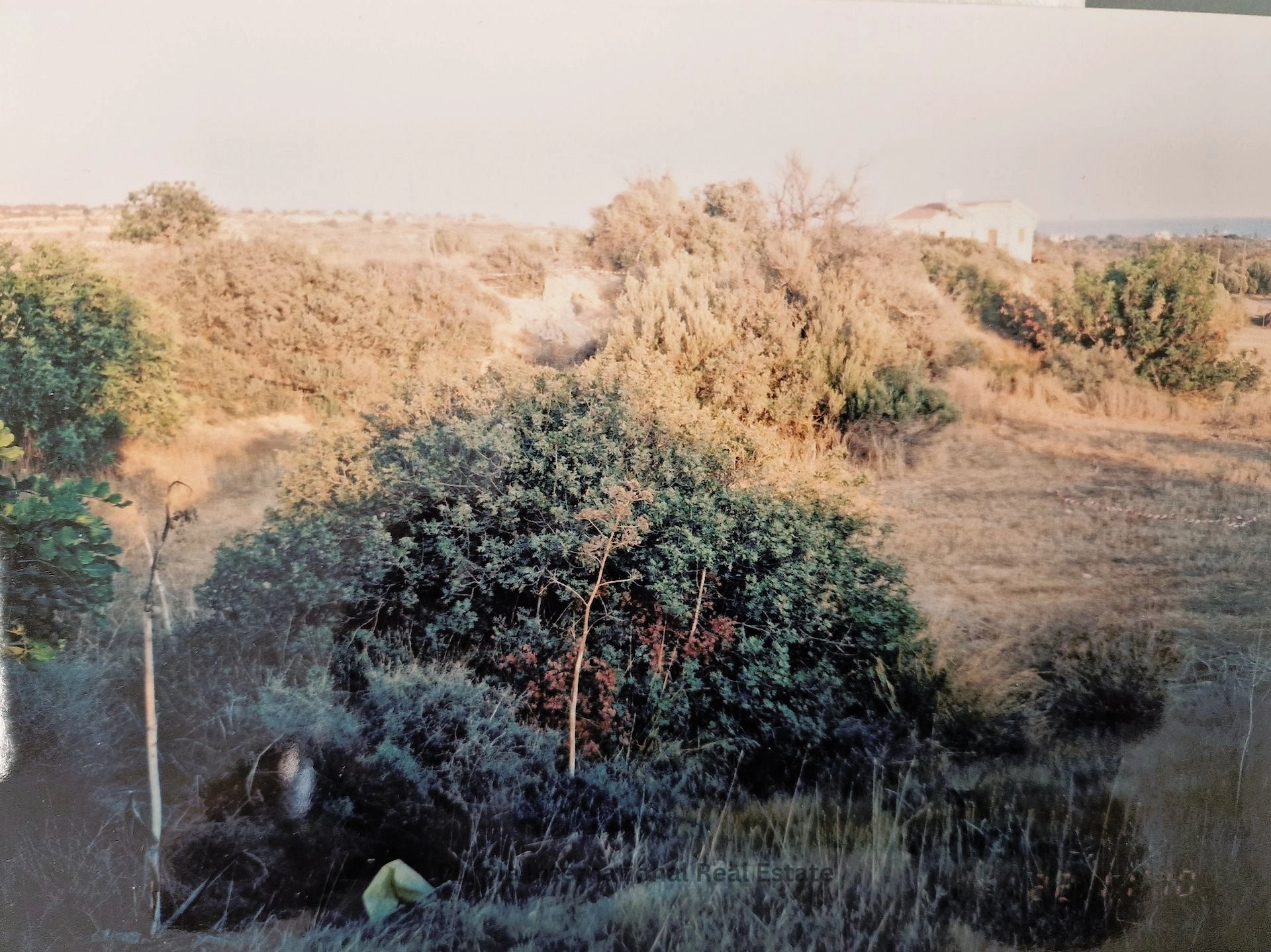 32,108m² Plot for Sale in Agios Theodoros, Larnaca District