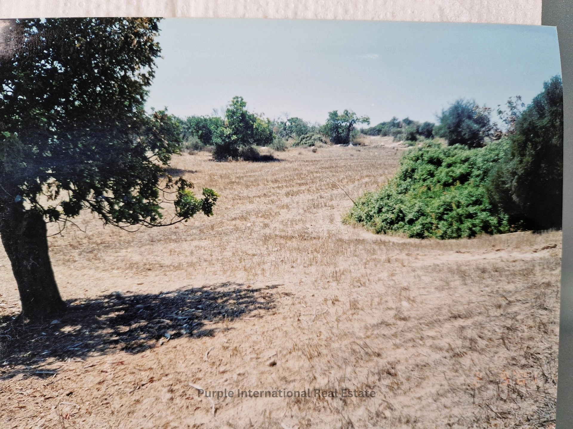 32,108m² Plot for Sale in Agios Theodoros, Larnaca District