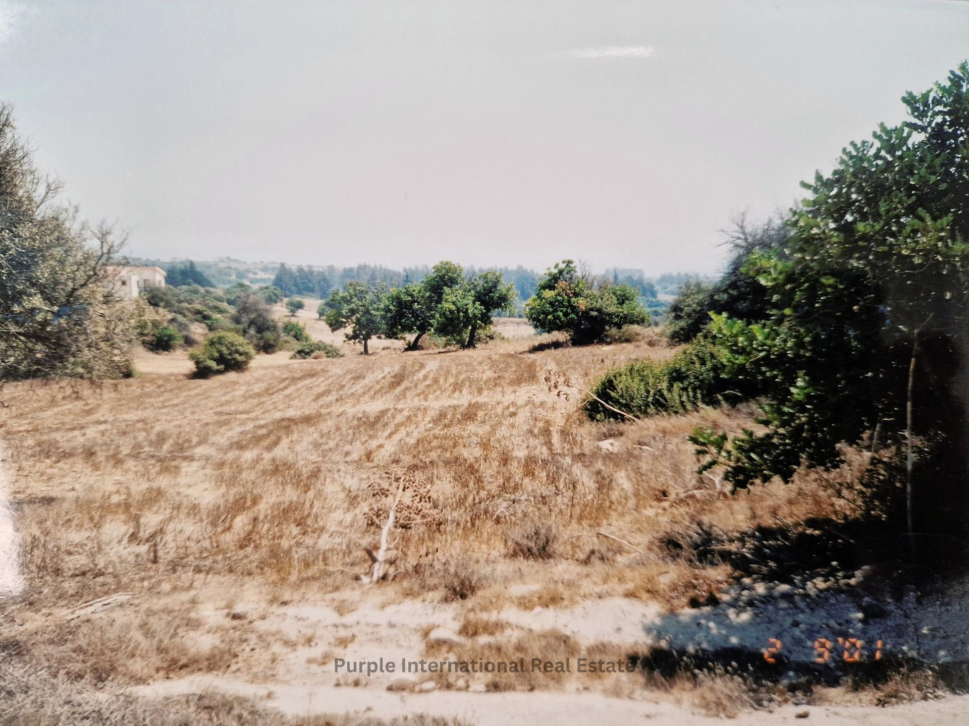 32,108m² Plot for Sale in Agios Theodoros, Larnaca District