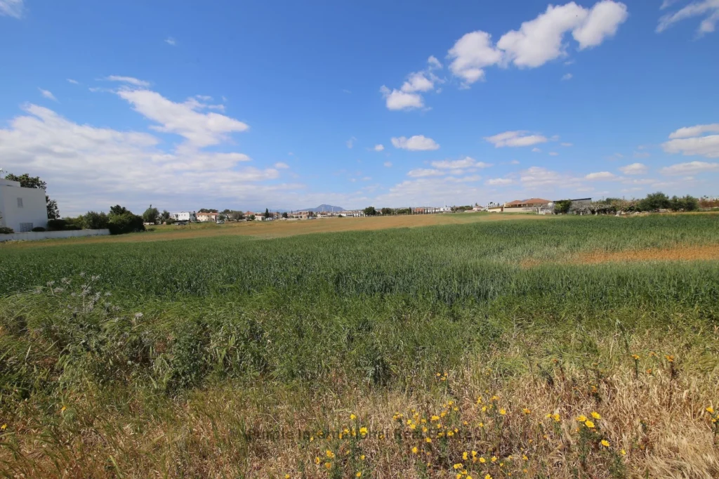 5,542m² Plot for Sale in Kiti, Larnaca District