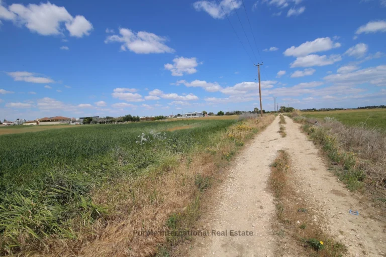5,542m² Plot for Sale in Kiti, Larnaca District