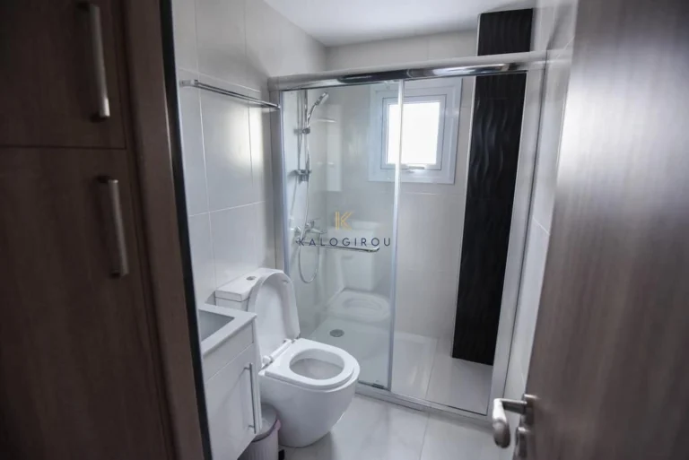 2 Bedroom Apartment for Rent in Larnaca District