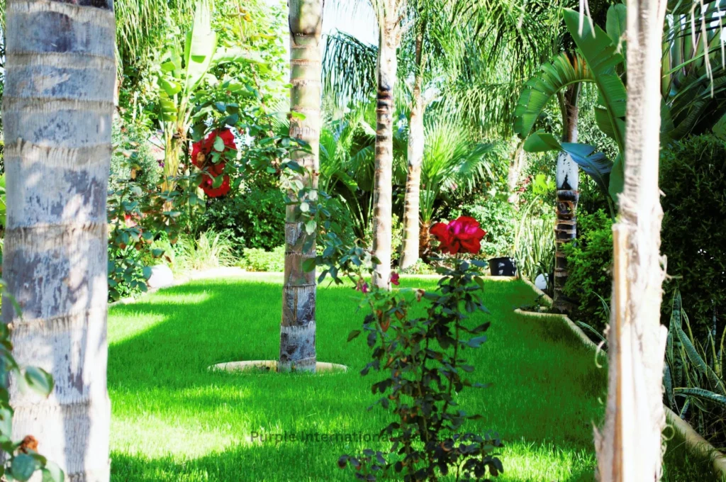 4 Bedroom House for Sale in Cape Greko, Famagusta District