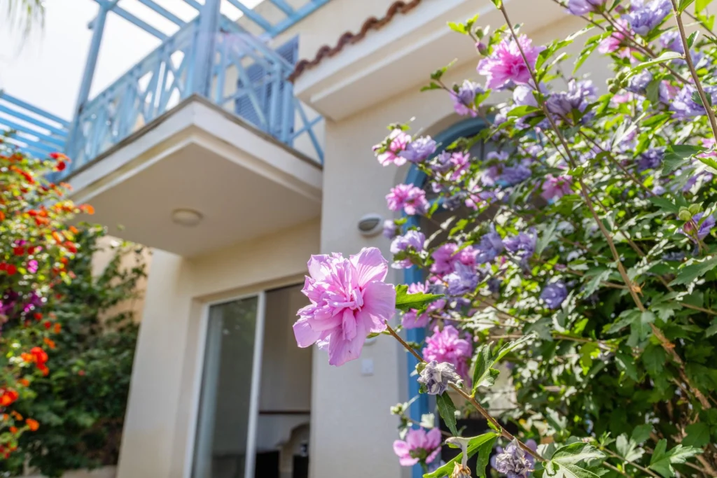 3 Bedroom House for Sale in Paphos District