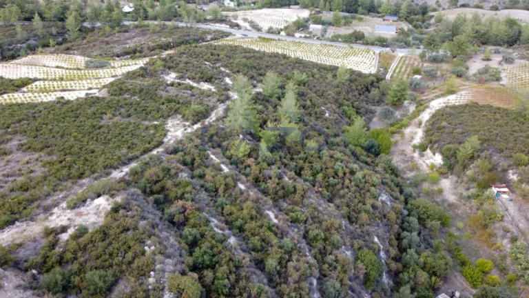 25,284m² Plot for Sale in Agios Mamas, Limassol District