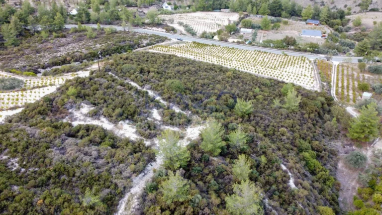 25,284m² Plot for Sale in Agios Mamas, Limassol District