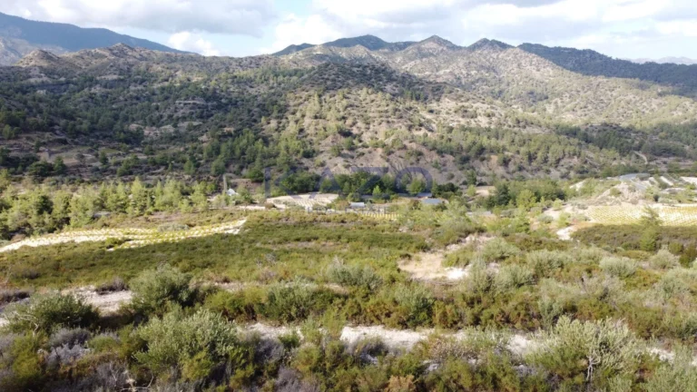 25,284m² Plot for Sale in Agios Mamas, Limassol District