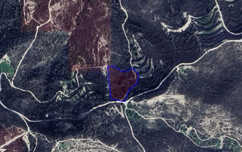 12,041m² Plot for Sale in Asgata, Limassol District