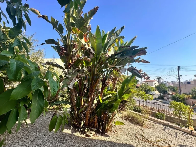 4 Bedroom House for Sale in Larnaca District