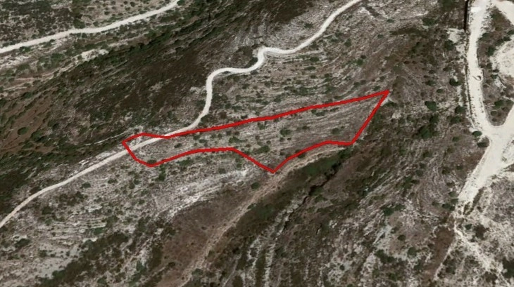 6,021m² Plot for Sale in Tsada, Paphos District