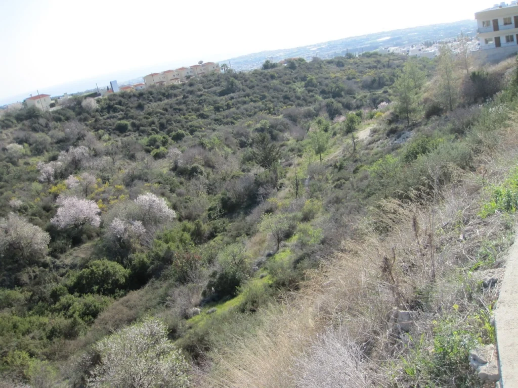 670m² Plot for Sale in Tala, Paphos District