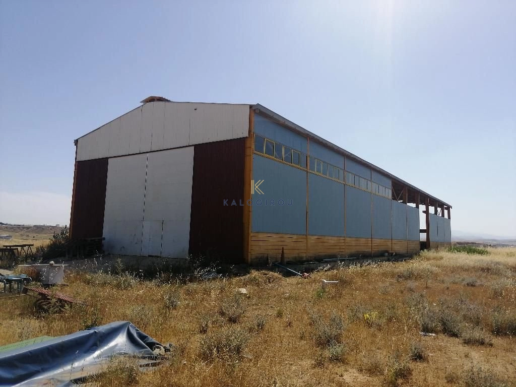 900m² Commercial for Sale in Dali, Nicosia District