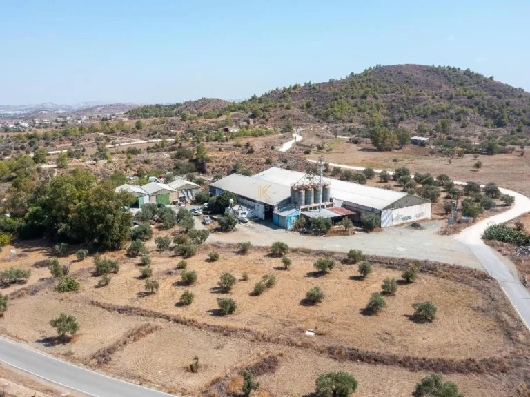 4250m² Commercial for Sale in Agia Varvara Lefkosias, Nicosia District