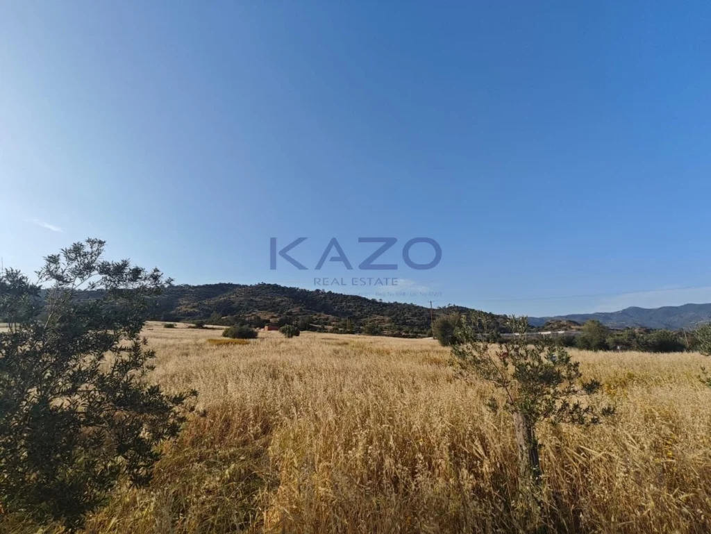 24,661m² Plot for Sale in Parekklisia, Limassol District