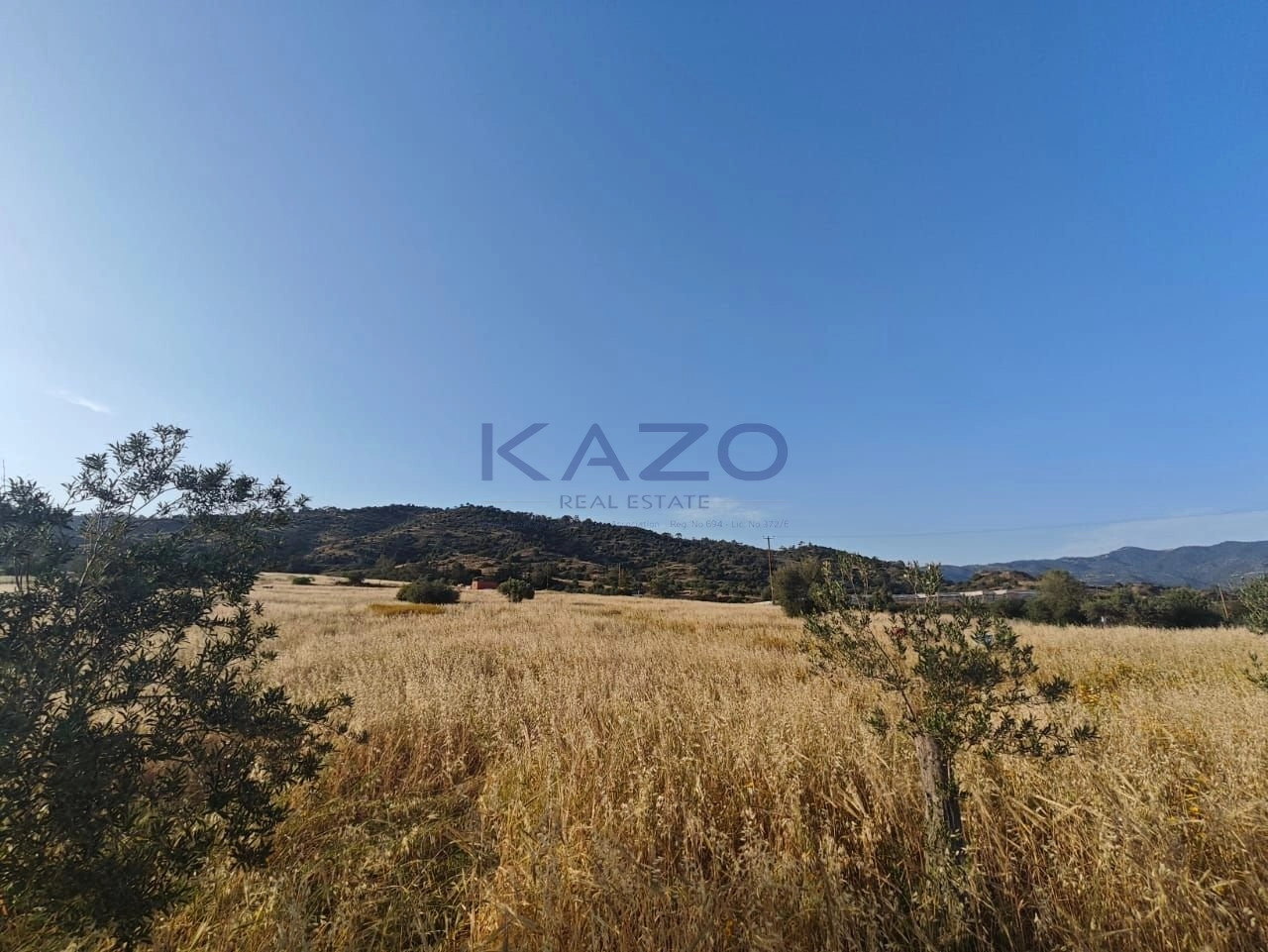 24,661m² Plot for Sale in Parekklisia, Limassol District