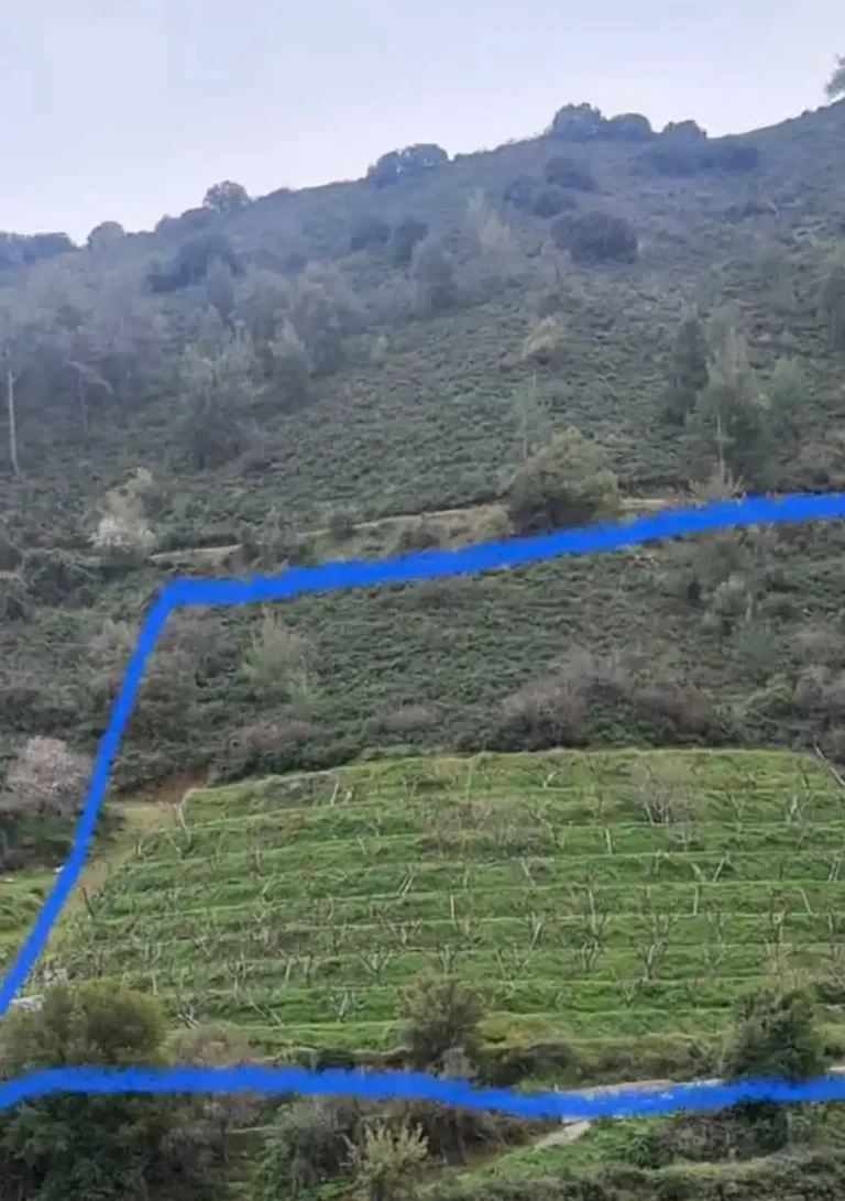 Plots of Land for Sale