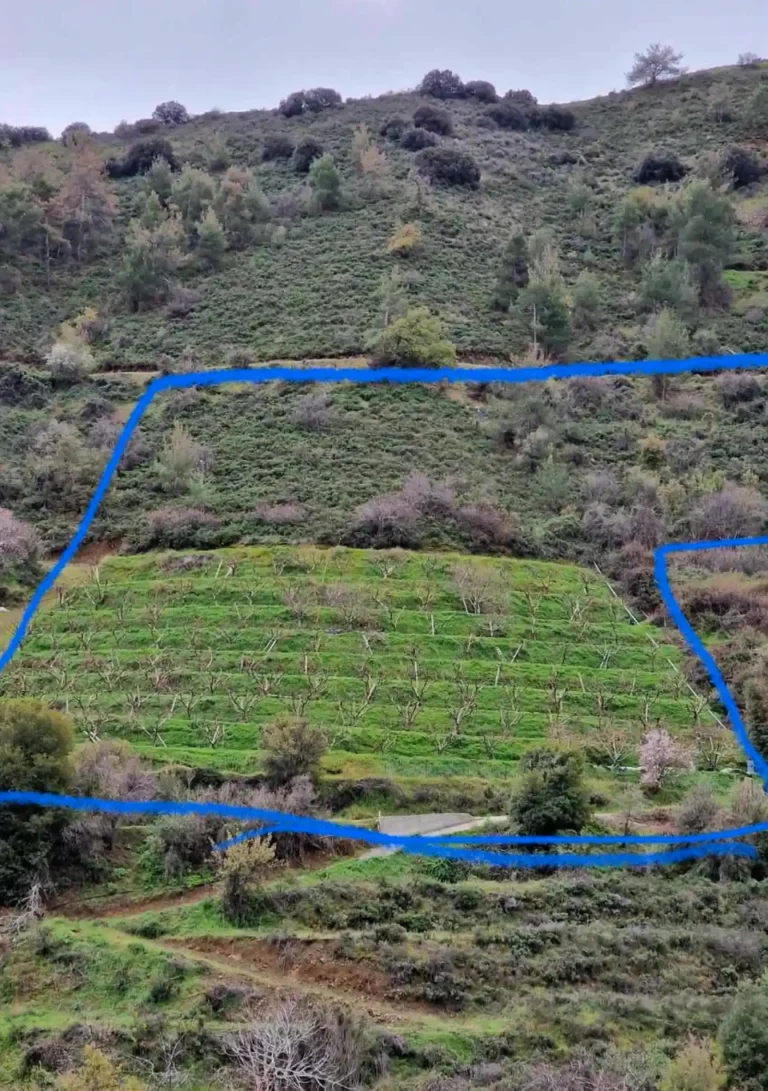 Plots of Land for Sale