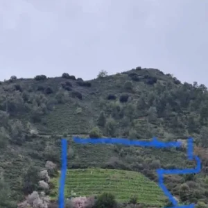 8,176m² Plot for Sale in Galata, Nicosia District