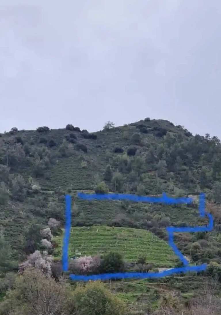 Plots of Land for Sale