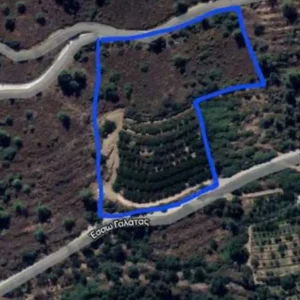 8,176m² Plot for Sale in Galata, Nicosia District