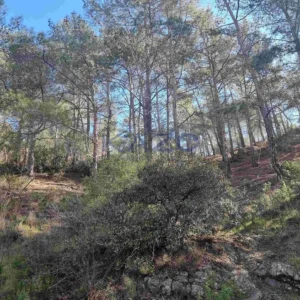 Οικόπεδο 21,690m² προς πώληση στον Μονιάτη, Επαρχία Λεμεσού