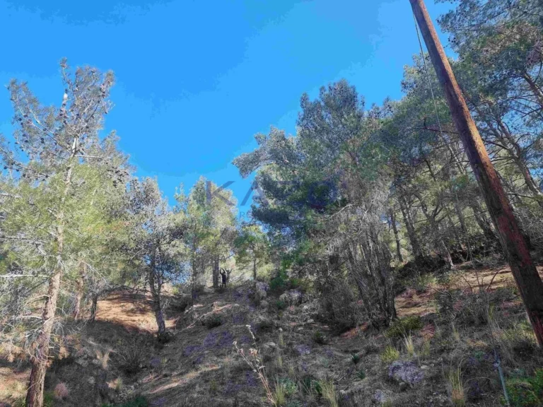 Οικόπεδο 21,690m² προς πώληση στον Μονιάτη, Επαρχία Λεμεσού