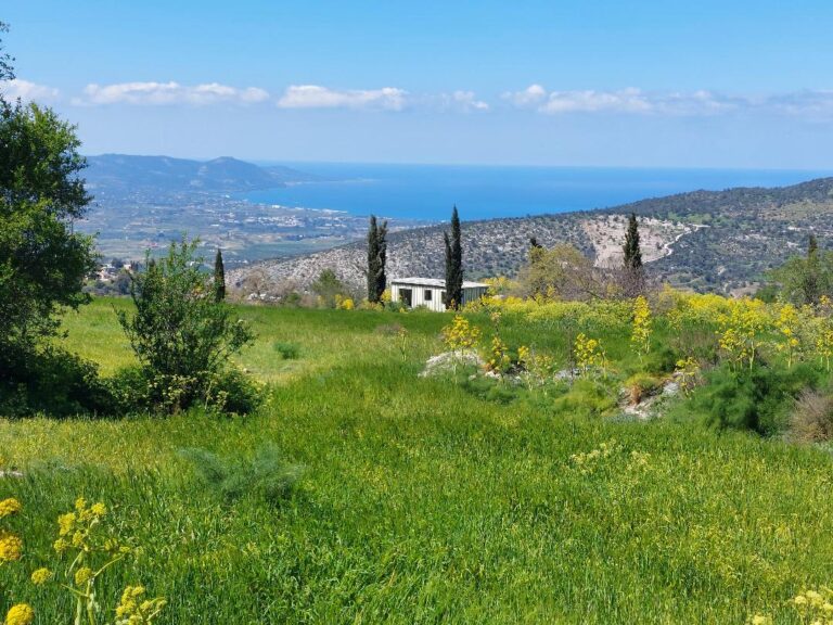 23,000m² Plot for Sale in Meladeia, Paphos District