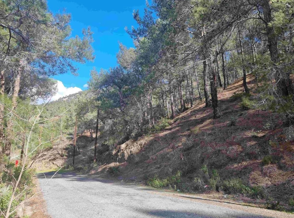 21,690m² Plot for Sale in Moniatis, Limassol District